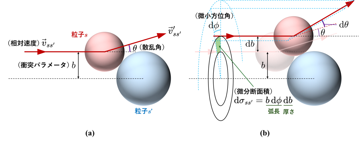 cross section